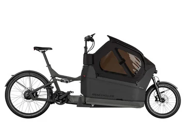 Riese & Müller Packster 2