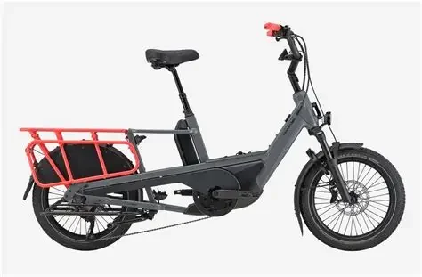 Cannondale Cargo Neo